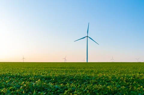 A corn field with large wind turbines against a blue sky at sunset, Dexter, M Stock Photos