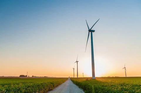 A corn field with large wind turbines against a blue sky at sunset, Dexter, M Stock Photos