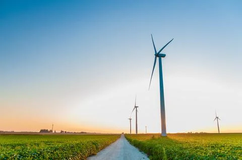 A corn field with large wind turbines against a blue sky at sunset, Dexter, M Stock Photos