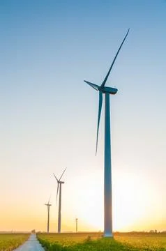 A corn field with large wind turbines against a blue sky at sunset, Dexter, M Stock Photos