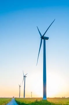 A corn field with large wind turbines against a blue sky at sunset, Dexter, M Stock Photos