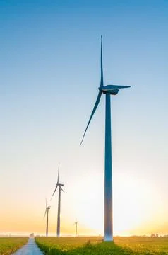 A corn field with large wind turbines against a blue sky at sunset, Dexter, M Stock Photos