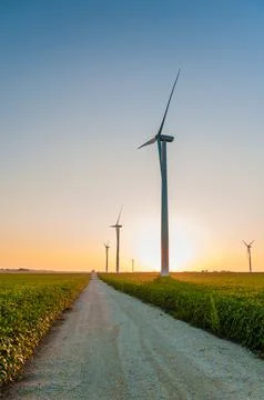 A corn field with large wind turbines against a blue sky at sunset, Dexter, M Stock Photos