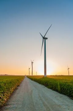 A corn field with large wind turbines against a blue sky at sunset, Dexter, M Stock Photos