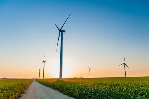 A corn field with large wind turbines against a blue sky at sunset, Dexter, M Stock Photos
