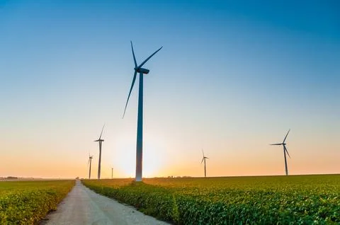 A corn field with large wind turbines against a blue sky at sunset, Dexter, M Stock Photos
