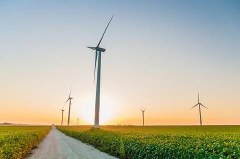 A corn field with large wind turbines against a blue sky at sunset, Dexter, M Stock Photos