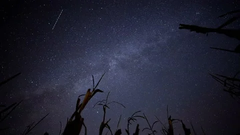 Corn field Milky Way time-lapse 스톡 동영상 143195634