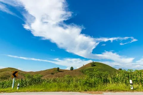 Corn field mountain Stock Photos