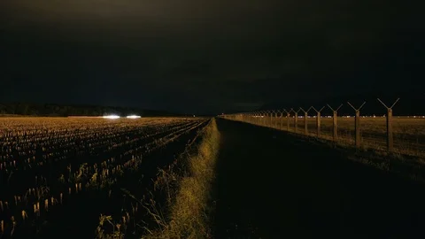 Corn field at night Stock Footage 87705843