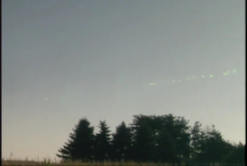 Corn Field Pan Stock-Footage 94914