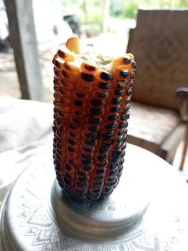 Corn field  Foto stock