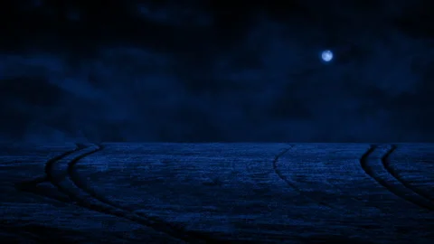 Corn Field Shimmering On Windy Night In Moonlight Stock Footage 300225160