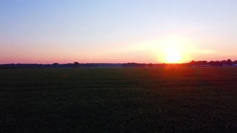 Corn field &amp; Sunset Vídeos de archivo 137618991