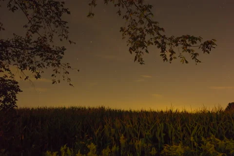 Corn Field Time Lapse Stock Footage
