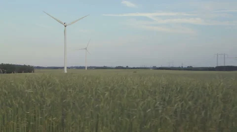 Corn field with wind turbines Stock Footage 52009345