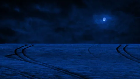 Corn Field On Windy Night Stock Footage 326240283