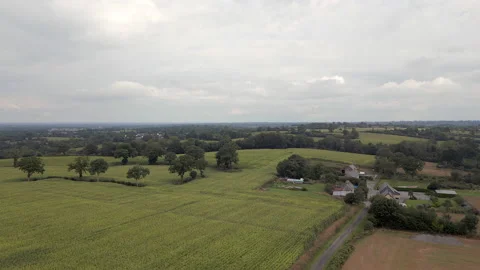 Corn fields and cluster of houses in countryside of Normandy, France. Drone shot Stock-Footage 220714901