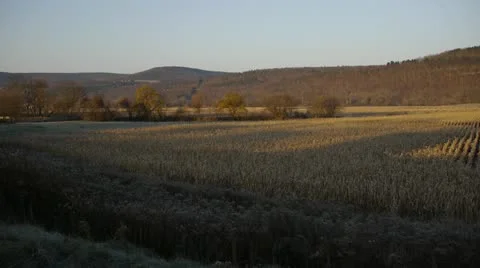 Corn Fields and Mountains Stock Footage 22218650