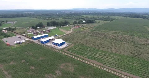 Corn fields on the farm Stock-Footage 171091308