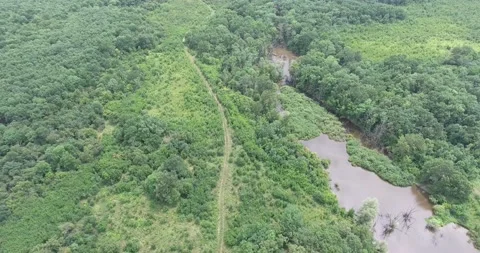 Corn fields on the farm Video stock 171091928