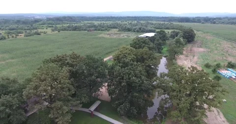 Corn fields on the farm Video stock 171092624