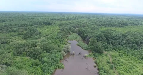 Corn fields on the farm Video stock 171092799