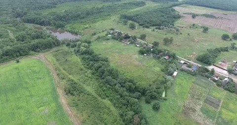 Corn fields on the farm Video stock 171092841