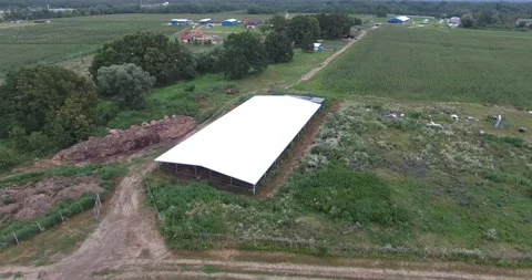 Corn fields on the farm Video stock 171093566