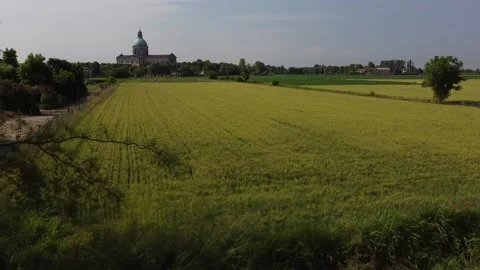 Corn fields 動画素材 167731871