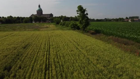 Corn fields 動画素材 167732054