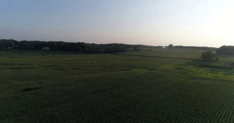 Corn Fields of Indiana Stock Footage 79732088