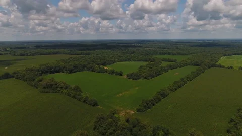 Corn fields in Indiana Stock Footage 136690095