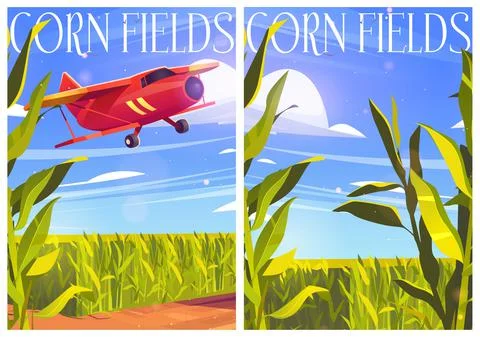 Corn fields posters with plants and red airplane 스톡 일러스트