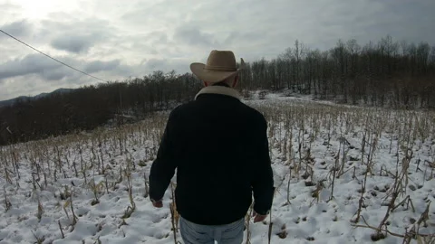 Corn fields in snow Stock Footage 171539248