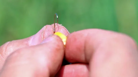 Corn on the fishhook. 動画素材 29620664