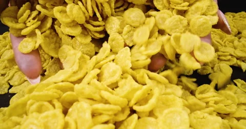 Corn flakes, cereal in extreme close up, macro shot Stock Footage 146514524