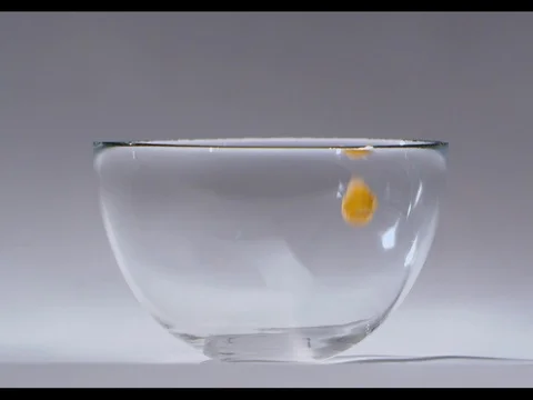 Corn flakes falling in a glass bowl, filling it up, white background Stock Footage 74185332