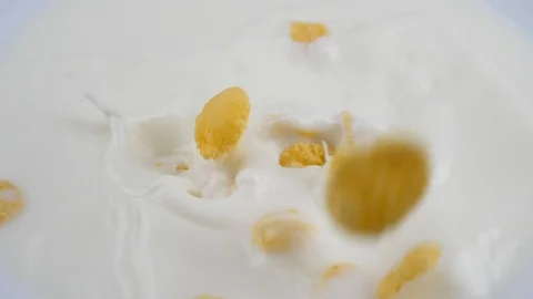 Corn flakes falling into the milk. Cornflakes in slow motion. Stock Footage 111868189