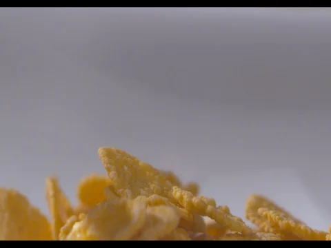 Corn flakes falling, white background, frontal shot, slow motion, close-up Stock Footage 74186294