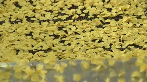 Corn flakes Stock Footage 24654977