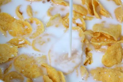 Corn flakes Stock Photos