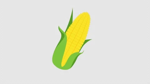 Corn Flat Animated icon concept loop animation video with alpha channel Stock Footage 266134200