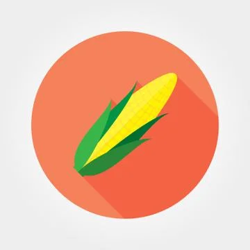 Corn. Flat icon Stock Illustration