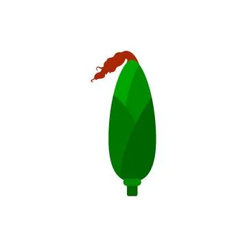Corn, flat icon, organic logo, vector, agriculture, corncob, farm Stock Illustration