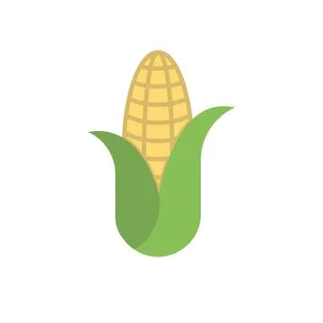 Corn Flat Vector Icon Stock Illustration