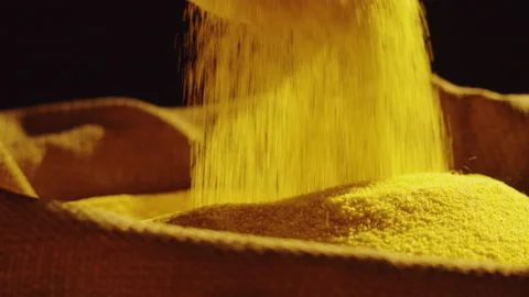 Corn flour texture close-up, cornmeal on black background. Harvest season Stock Footage 195119943