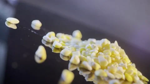 Corn flour with thick sticks (5) Stock Footage 202167147