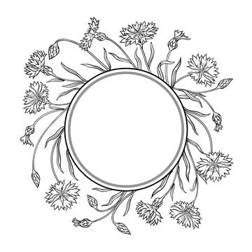 Corn Flower Outline Round Frame. Stock Illustration