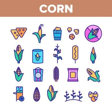 Corn Food Color Elements Icons Set Vector 스톡 일러스트